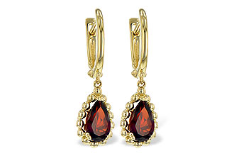 H235-22165: EARR 1.82 GARNET TW