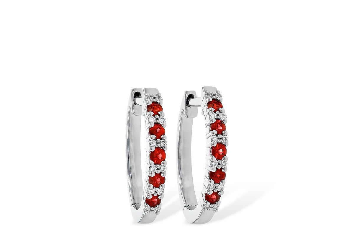 H236-13074: EARR .24 RUBY .30 TGW